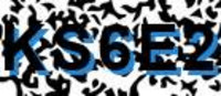 grafischer Sicherheitscode