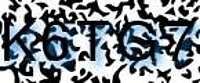 grafischer Sicherheitscode