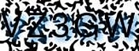 grafischer Sicherheitscode