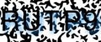 grafischer Sicherheitscode